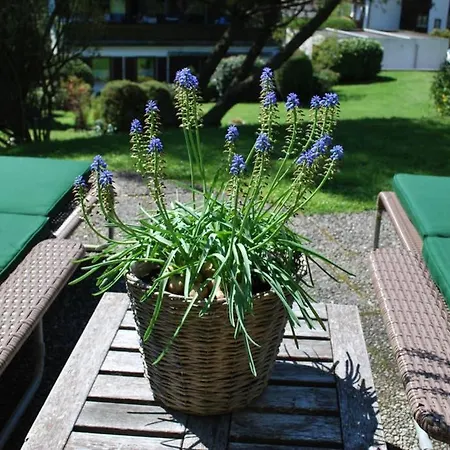 Sonniges Appartement Am Tegernsee Gmund am Tegernsee Exterior photo